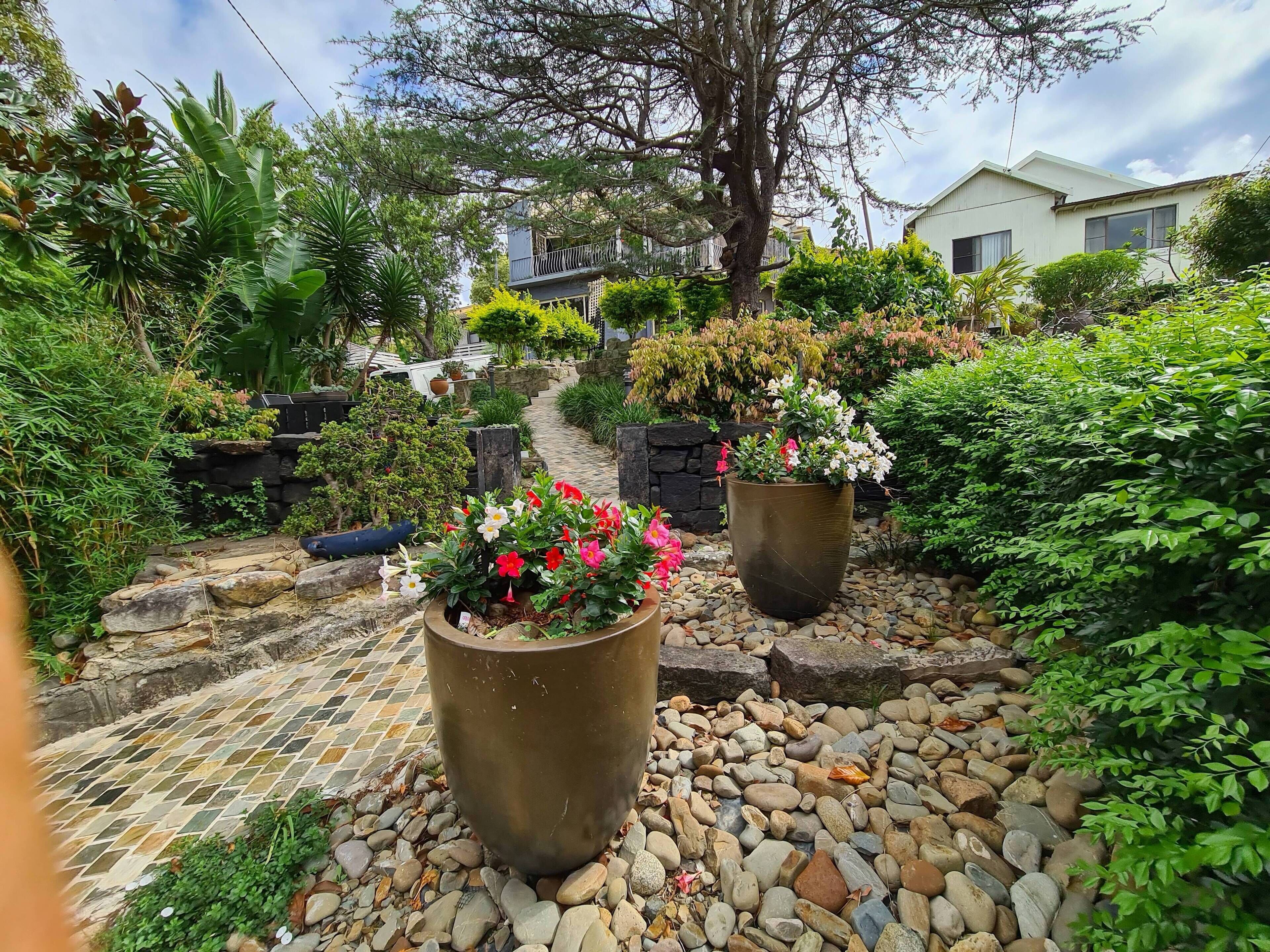 A garden pathway with potted plants and a stone wall.