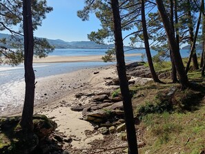 Ranta