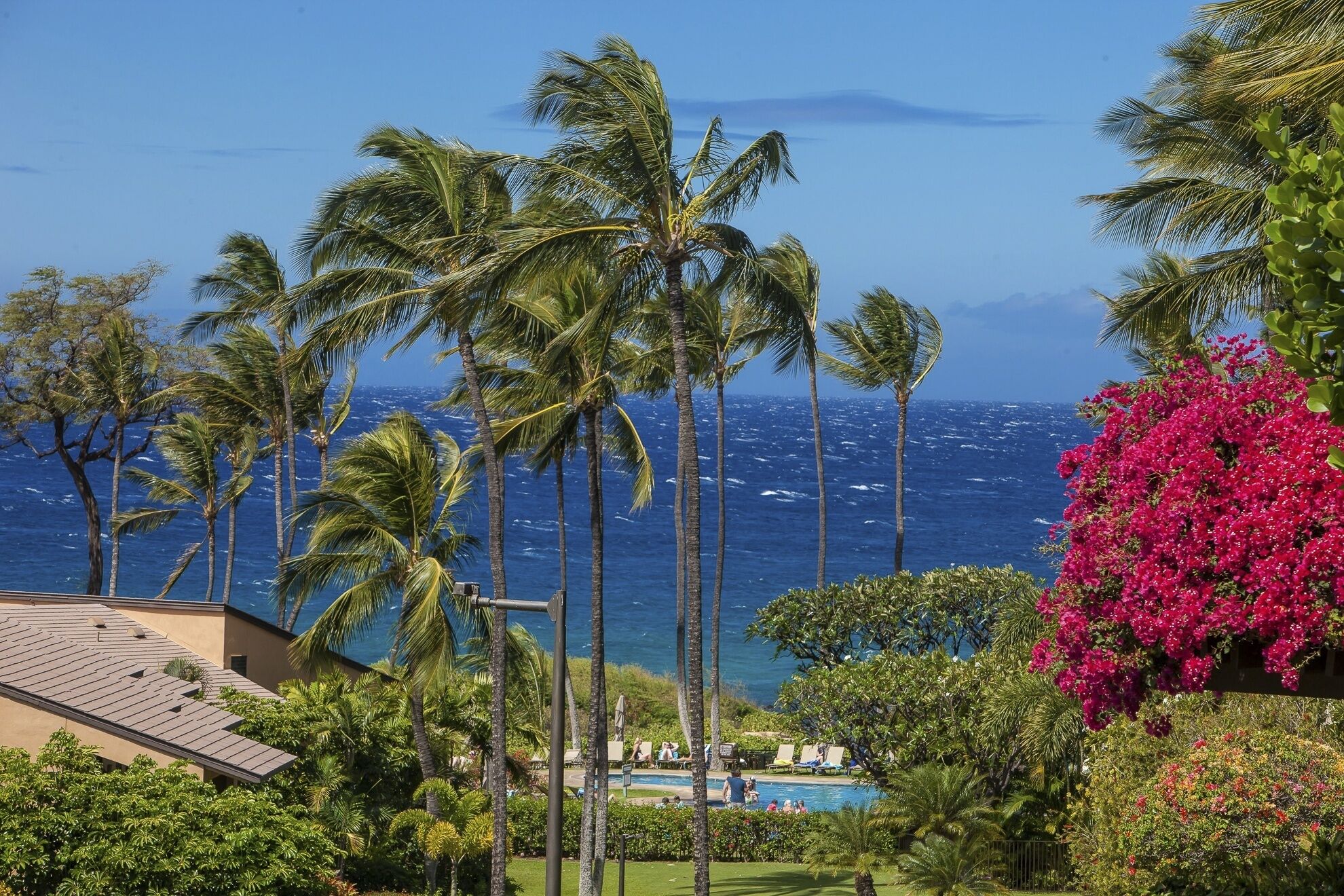 A resort with a pool, palm trees, and a view of the ocean.