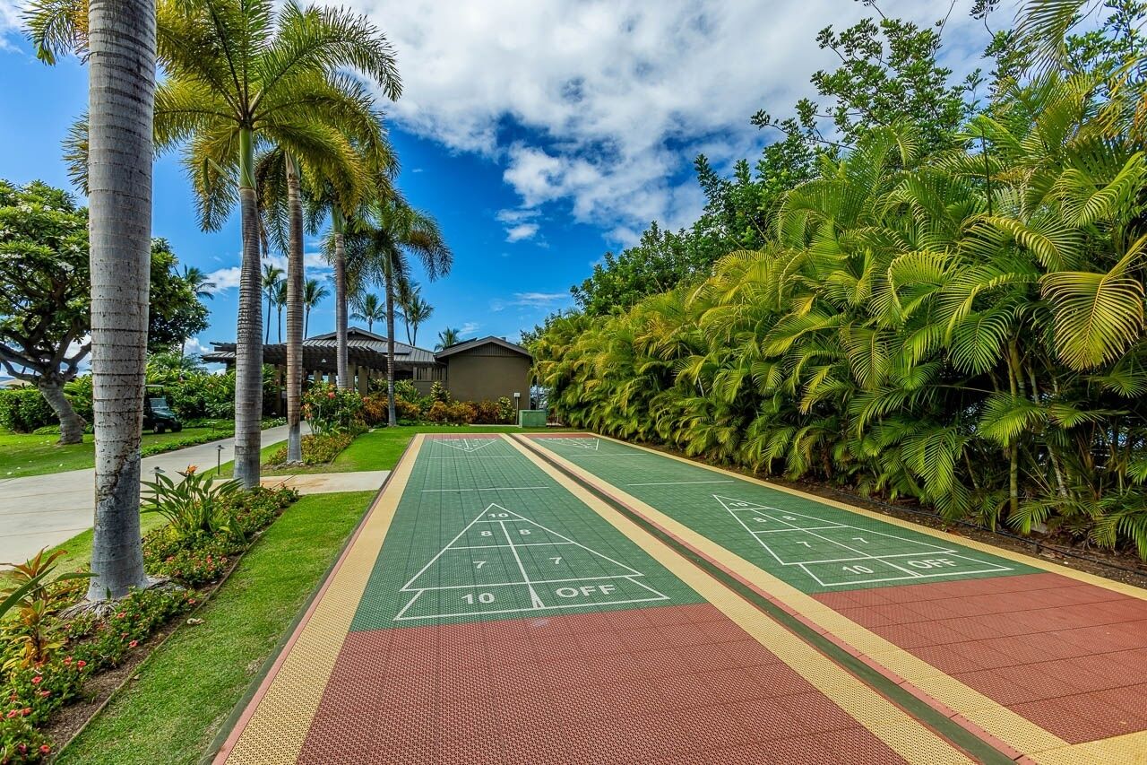 Ein Shuffleboard-Spielfeld, umgeben von üppiger Vegetation und Palmen.