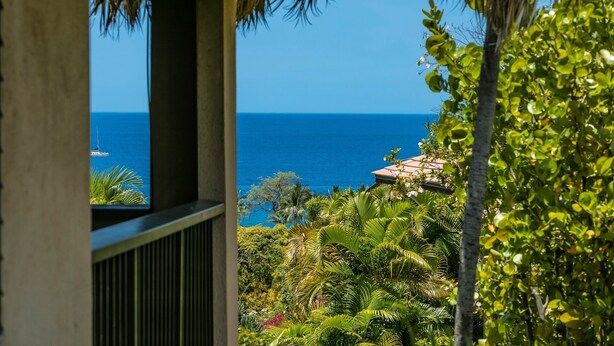 A view from a window overlooking a tropical garden and the ocean. - Wailea Ekahi One Bedrooms - Ocean View by Coldwell Banker Island Vacations (Kihei)
