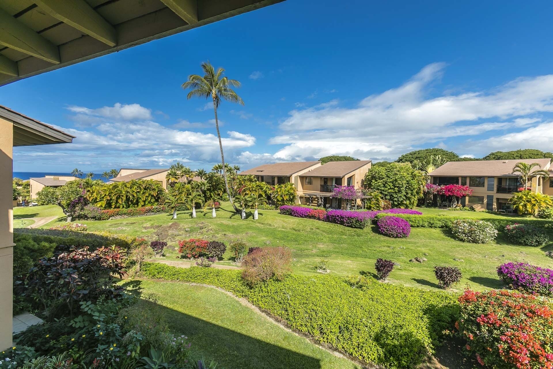 A residential area with multiple houses, well-maintained lawns, and various flowering plants.