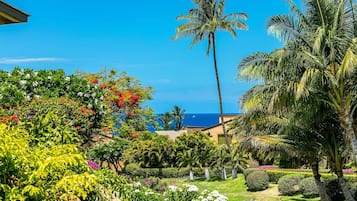 Condo, 1 Bedroom | Property grounds