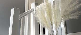 Casa Lobo's Beautiful Suites +free offroad parking -Suite#2