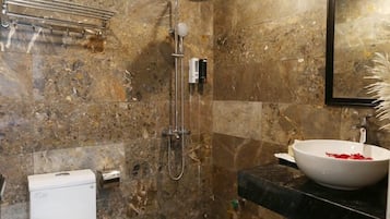 Double Room | Bathroom | Shower, hydromassage showerhead, designer toiletries, hair dryer