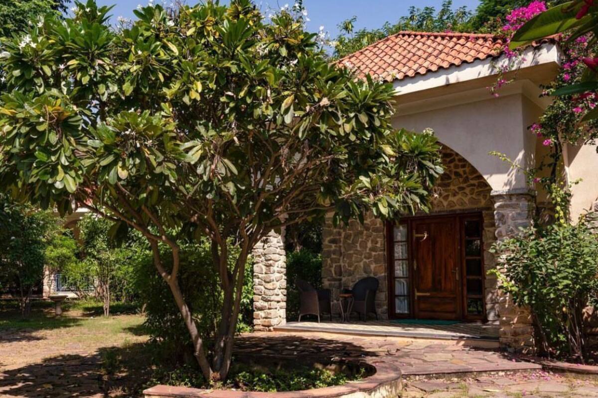 A stone building with a tiled roof, a wooden door, and a small garden area with a tree and plants.