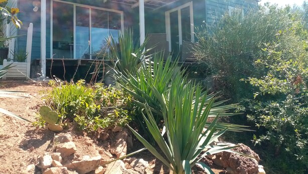 A house with a covered porch, a garden with various plants, and a clear sky. - Secluded chalet with private access and panoramic views (Draguignan)