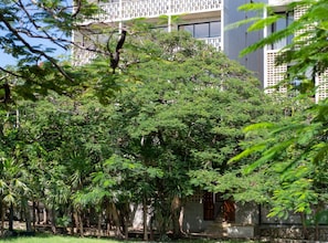 Stroll through lush gardens surrounded by a unique building with a patterned facade and large windows.