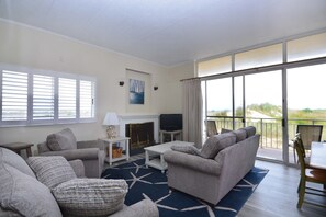 Flat-screen TV, fireplace, DVD player