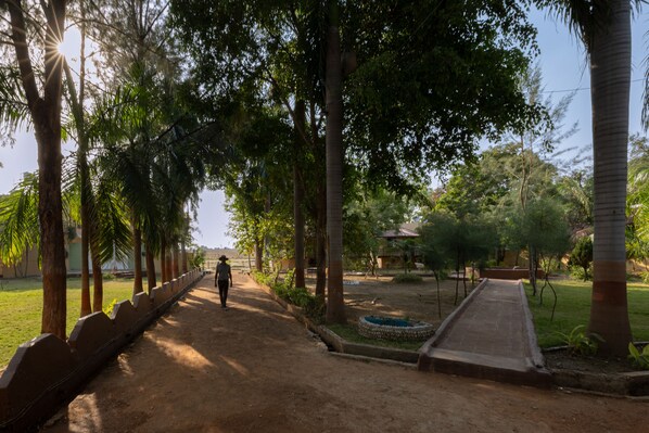 Un sentier bordé d’arbres et un petit pont.