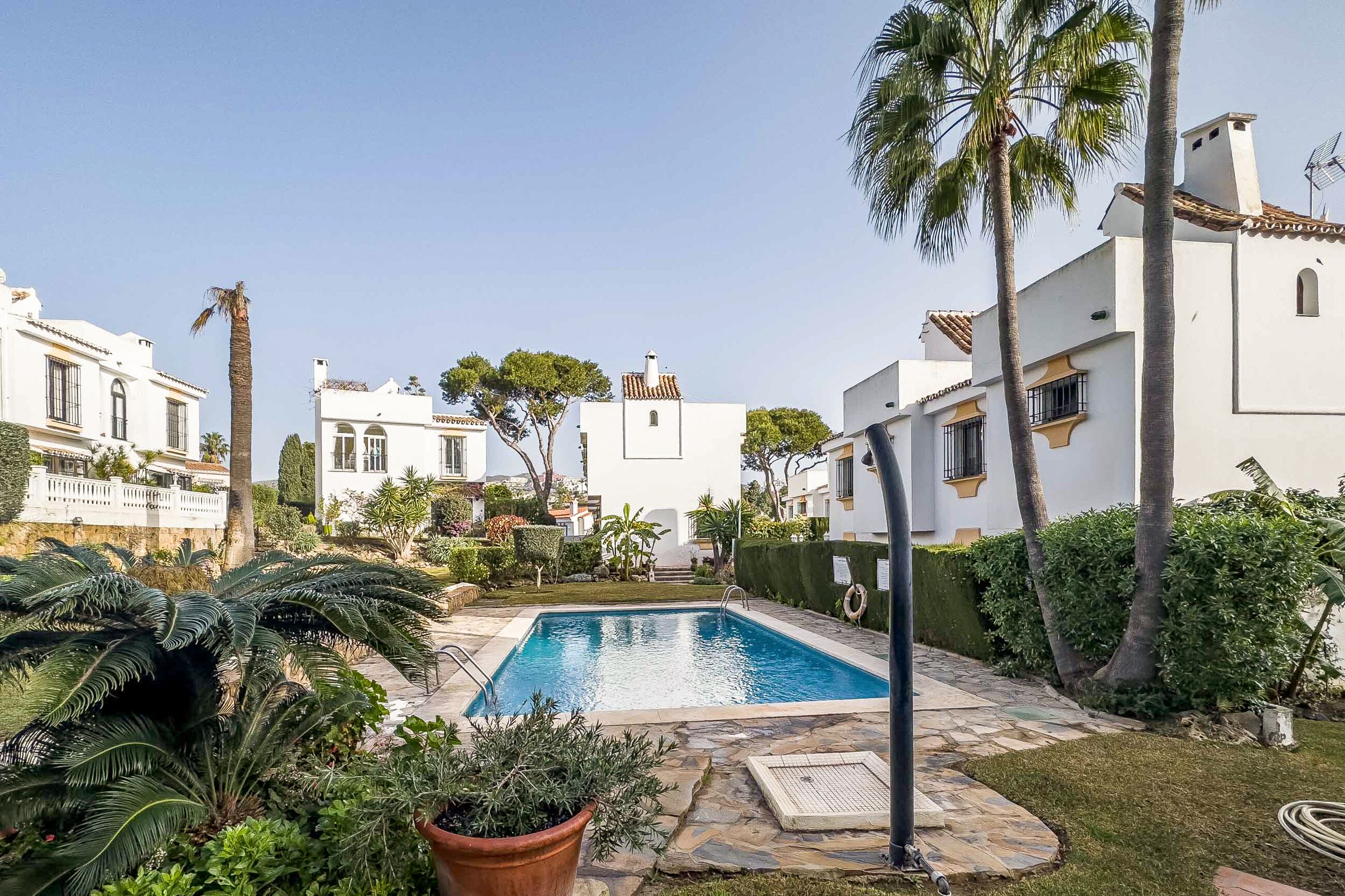 A swimming pool surrounded by white buildings with tiled roofs, palm trees, and well-maintained greenery.