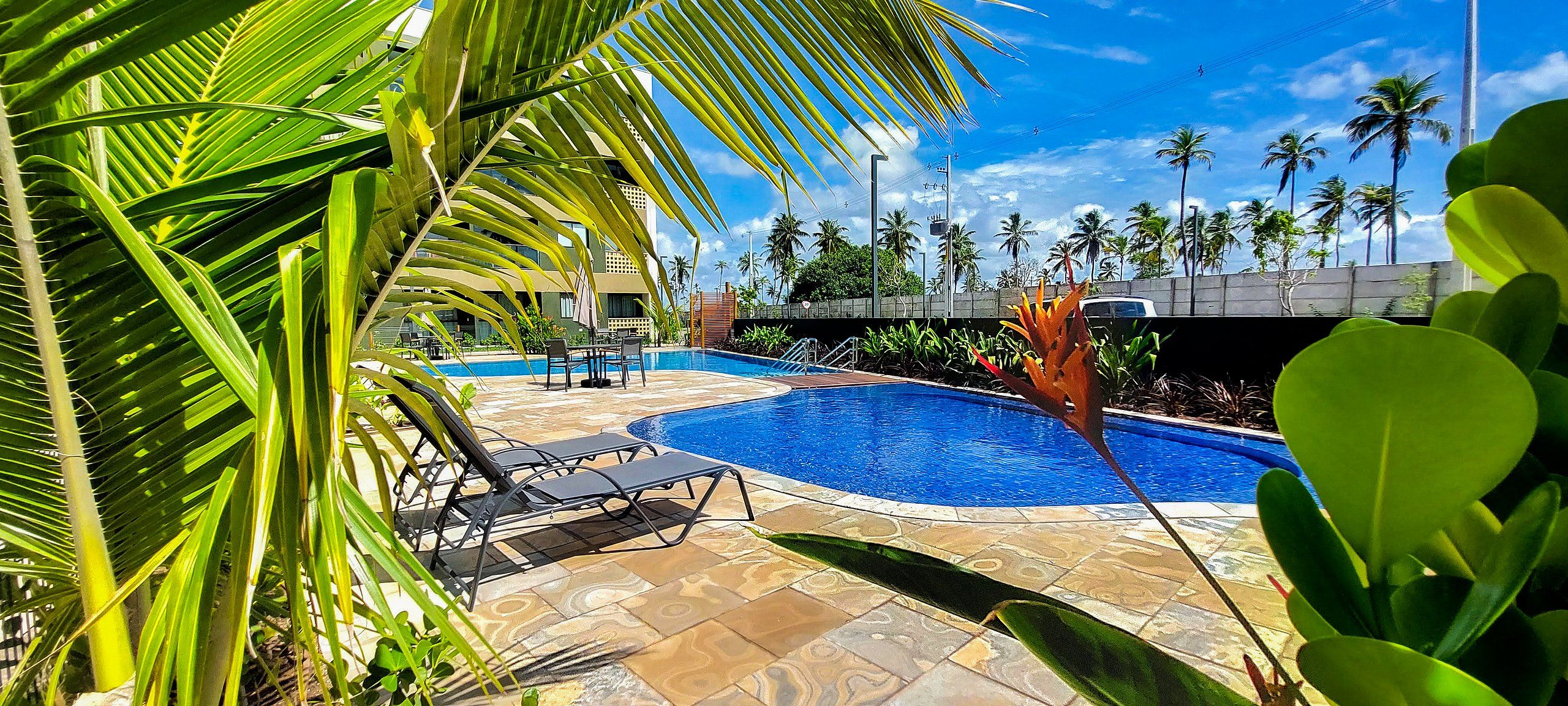 Uma área de piscina com espreguiçadeiras, palmeiras e céu azul límpido.