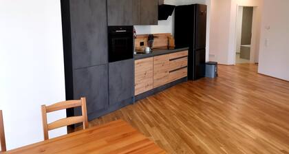 Beautiful apartment at the park in Mainz