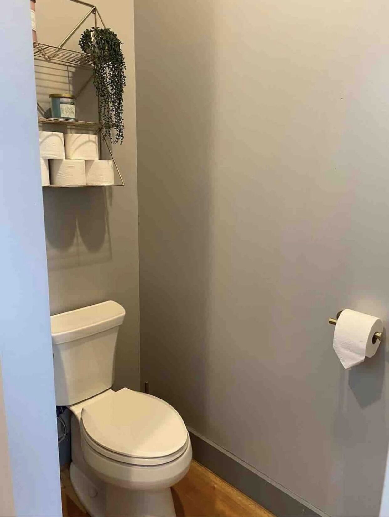 Un baño pequeño con inodoro, un estante con papel higiénico y una planta colgante.