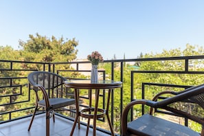 Superior Twin Room | Terrace/patio