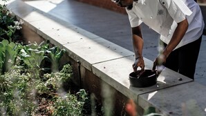 Iemand buigt zich over een betonnen rand, mogelijk bezig met planten of gereedschap.