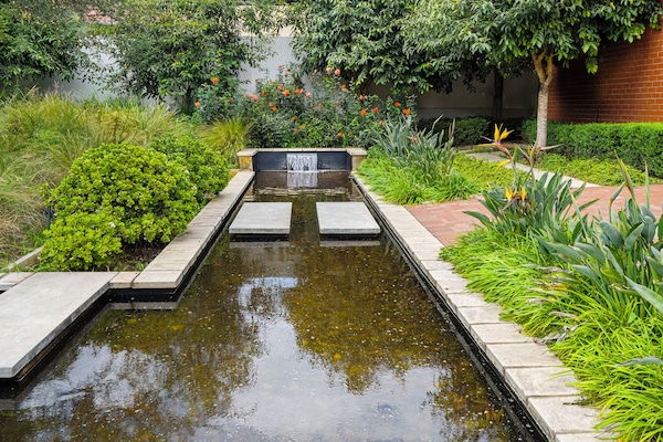Jardin