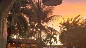 A pool area with a stone pathway, palm trees, and a water feature. - Pousada Neptun (Conde)
