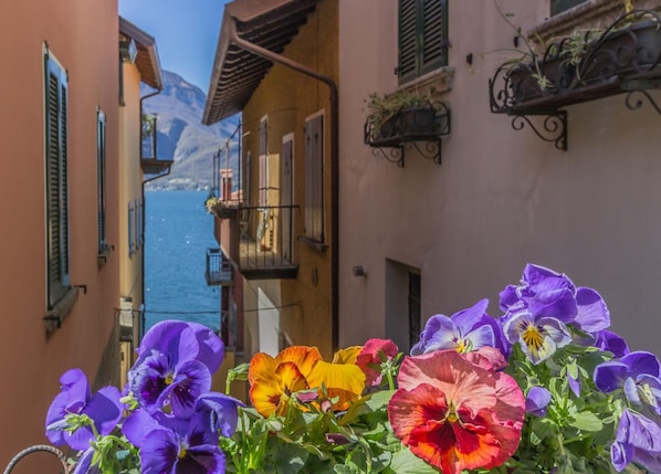 House | 2 bedrooms - Casa Ferrari in Varenna (Varenna)