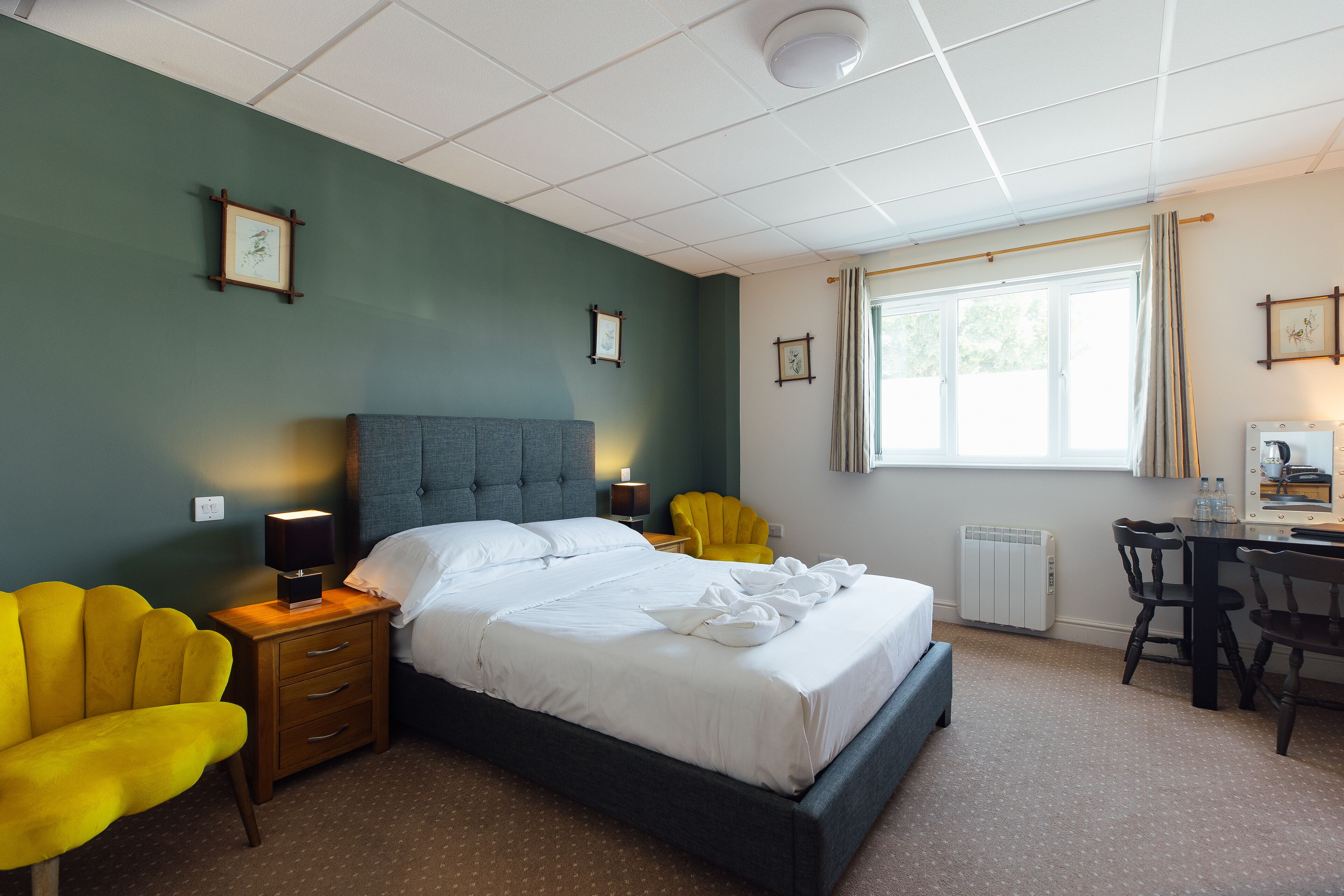 Habitació doble econòmica | Roba de llit hipoal·lergògena, mobiliari individual i escriptori 