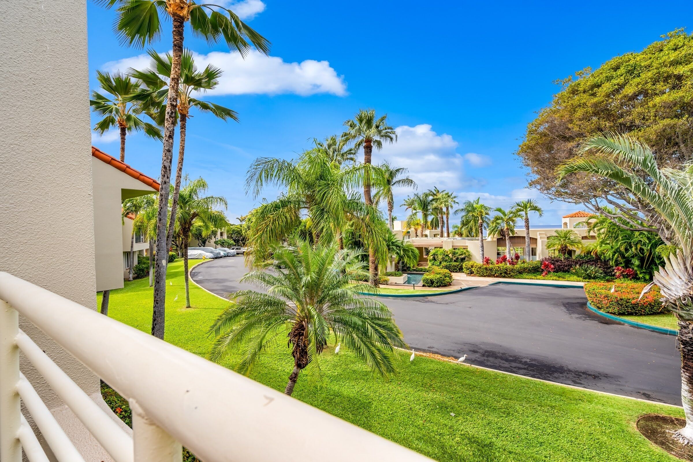 A resort with a curved road, palm trees, and a clear blue sky.