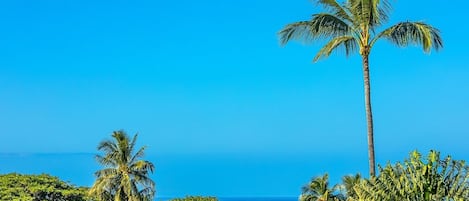 Apartment, 2 Schlafzimmer | Strand