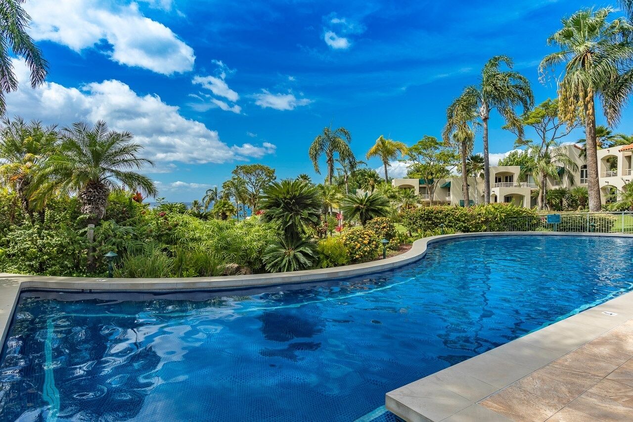 A swimming pool surrounded by palm trees and lush greenery, with a clear blue sky above.