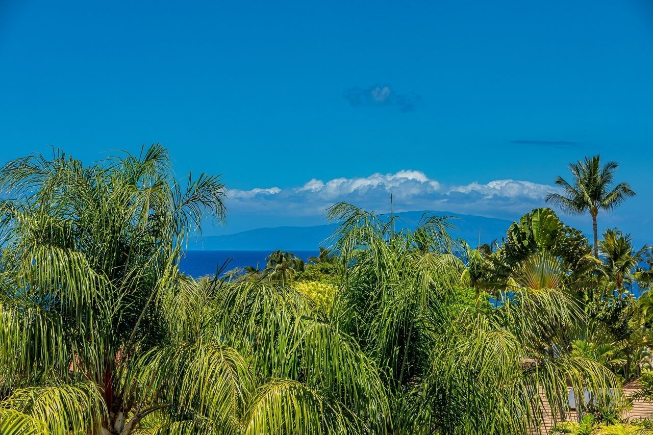 Un paysage tropical avec de nombreux palmiers et un ciel bleu azur.