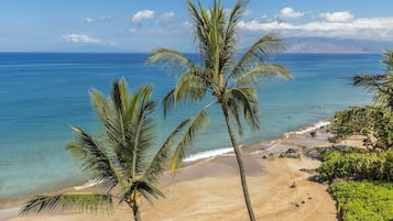 Condo, 2 quartos | Praia | Na praia