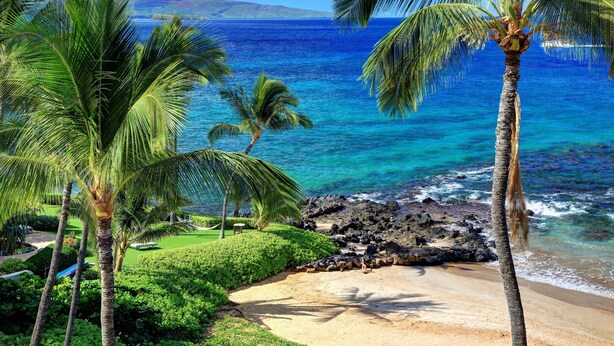 A beach with palm trees, clear blue water, and a rocky shoreline. - Polo Beach Club Two Bedrooms - Sleeps 6 by Coldwell Banker Island Vacations (Kihei)