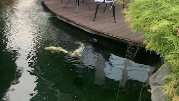 Speisen im Freien