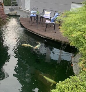 Outdoor dining - Cozy vacation apartment on the outskirts of the village (Rüdesheim am Rhein)