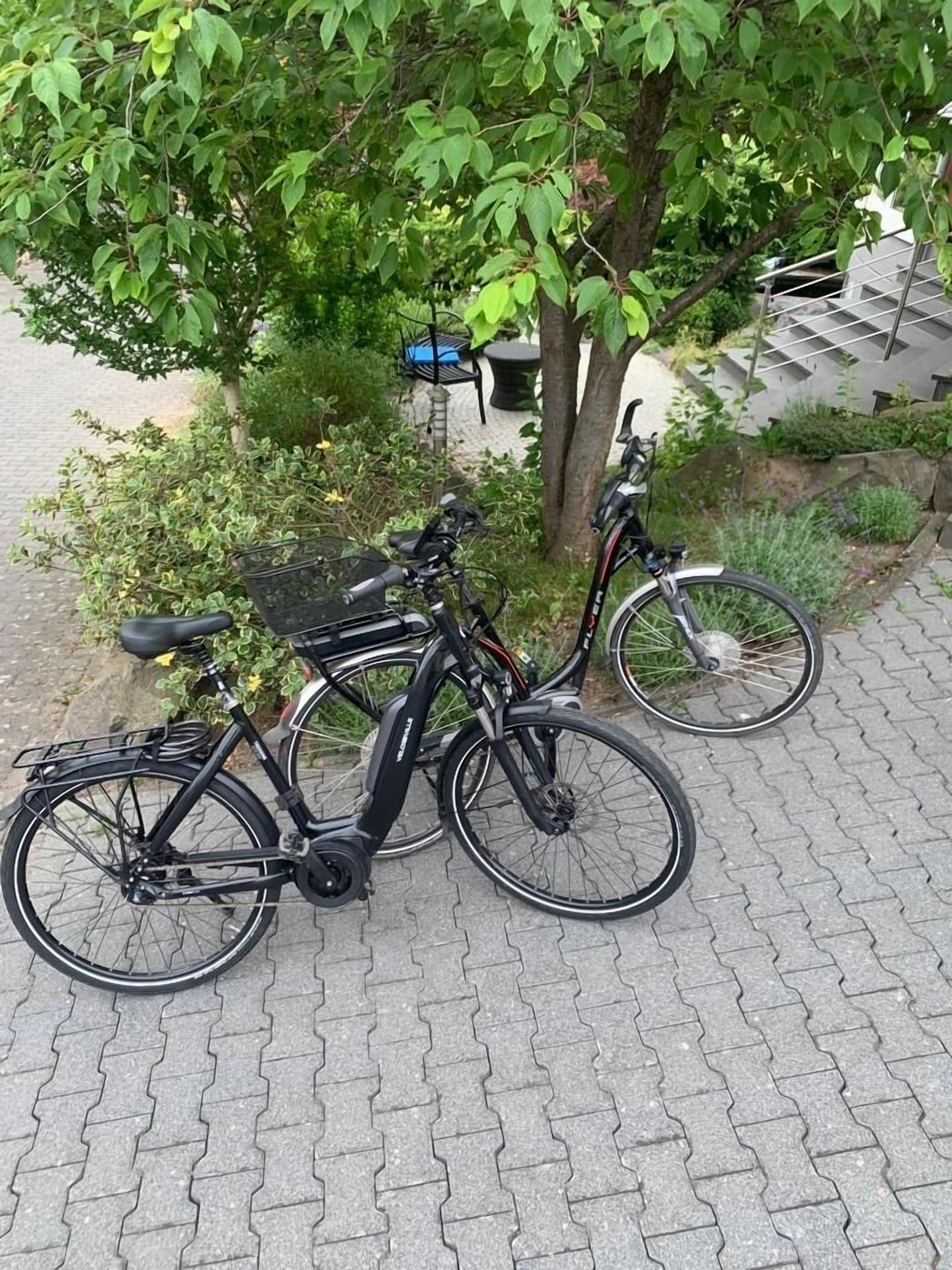 Twee fietsen geparkeerd op een verharde ondergrond, met een boom en een stoel op de achtergrond.