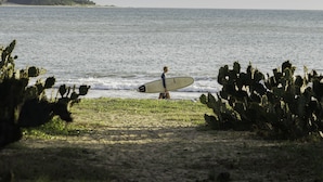 Une plage où l’on voit une personne portant une planche de surf, des cactus et une côte lointaine.