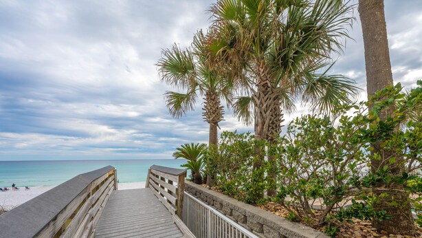 A wooden boardwalk leading to a beach with palm trees and a cloudy sky. - Sunsets You'll Never Forget- Private Patio/Hot Tub/Heated Pool (Miramar Beach)