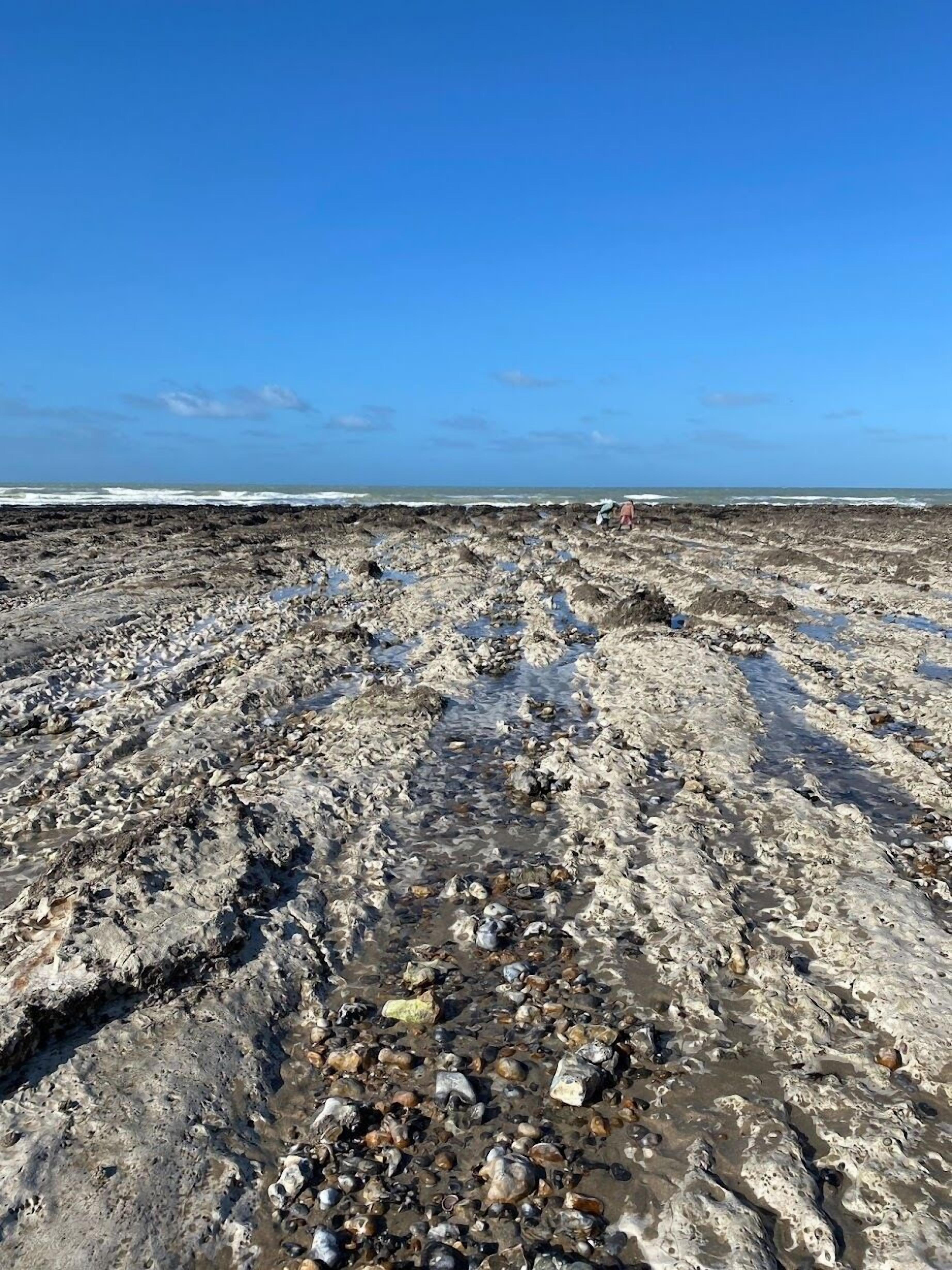 Une plage rocheuse avec une eau claire et une vue dégagée sur l’océan.