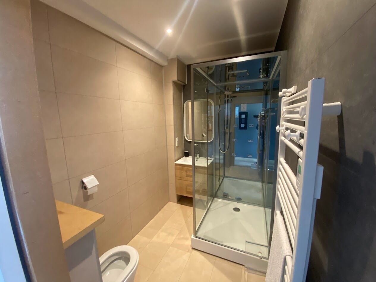 A modern bathroom with a glass shower enclosure, a toilet, and a towel rack.