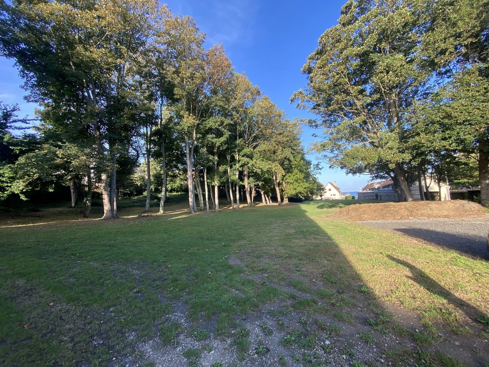 A grassy area with trees and a path leading to a building.
