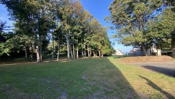 A grassy area with trees and a path leading to a building.