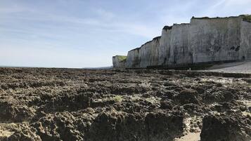 A coastal landscape with a prominent white cliff and a rocky beach.