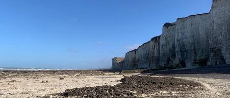 A coastal landscape with a prominent cliff and a rocky beach.