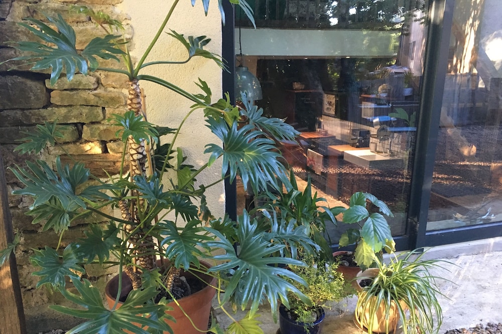 The Greenhouse