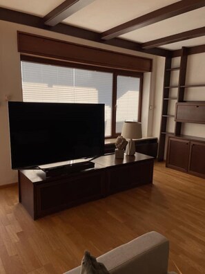テレビ、卓球台