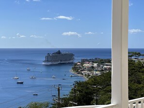 Property grounds - Spacious apartment near attractions with a wonderful view! (Roseau)