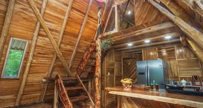 Nature lovers! 15 minutes from beaches and town!