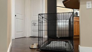 A room with a wooden floor, a white door, and a black metal cage with a gray cushion inside.