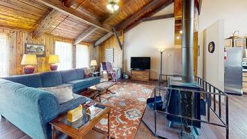 TV, DVD player, books, video library