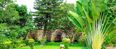 Áreas de la propiedad