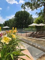 Zona de piscina con borde de piedra, sombrillas y una escalera que lleva a una terraza.