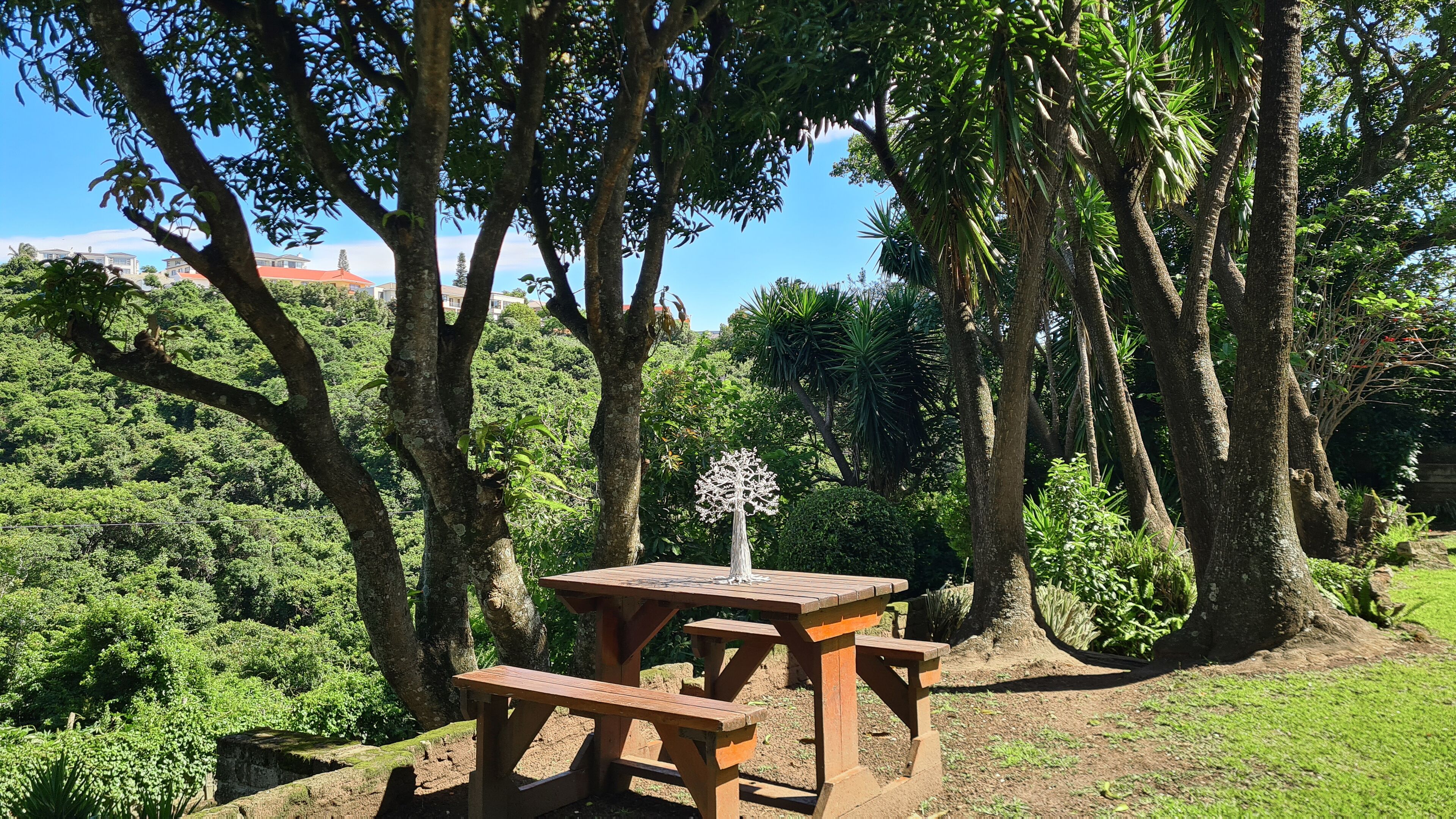 A wooden picnic table surrounded by lush greenery and trees.